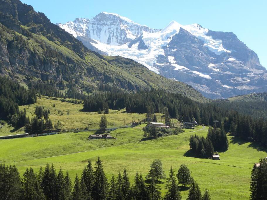 Apartment With Great View At Residence Brunner Wengen Eksteriør billede