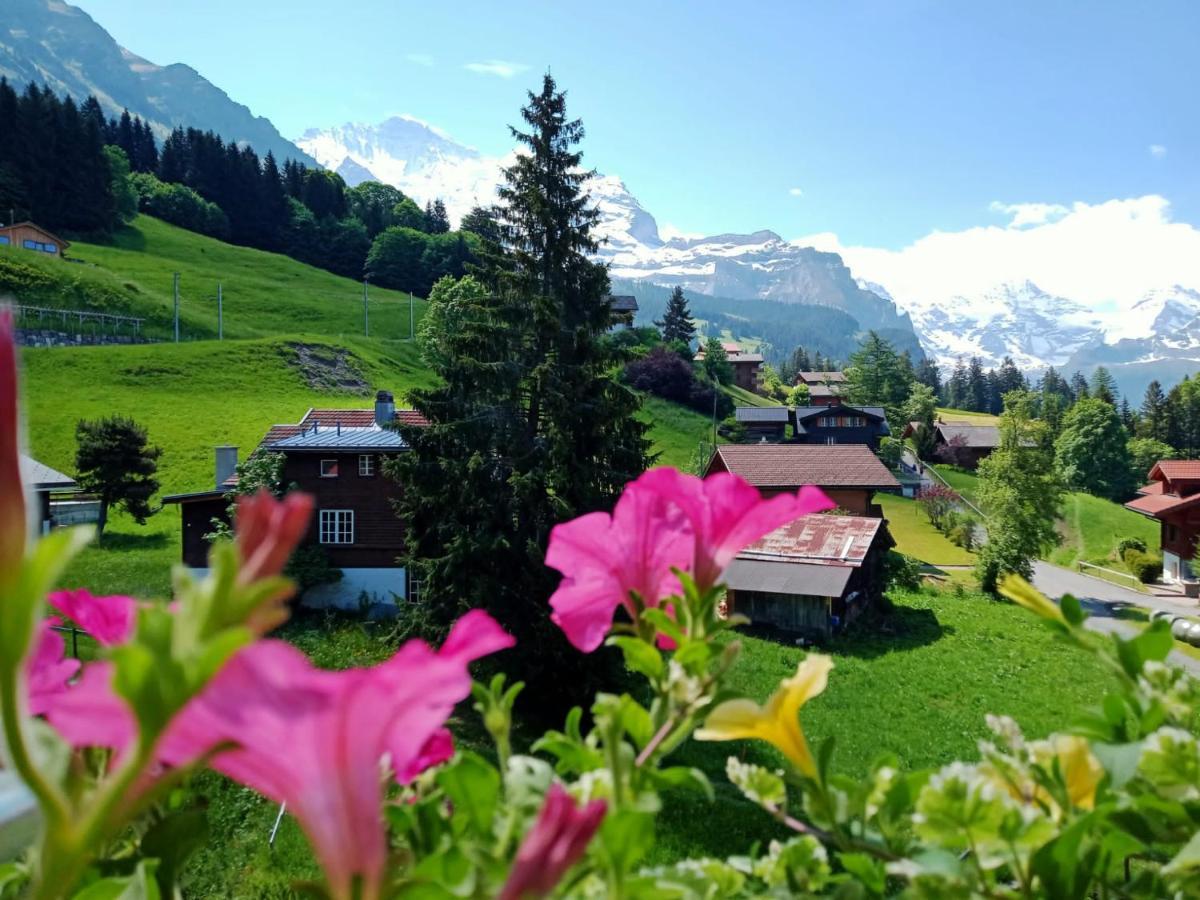 Apartment With Great View At Residence Brunner Wengen Eksteriør billede
