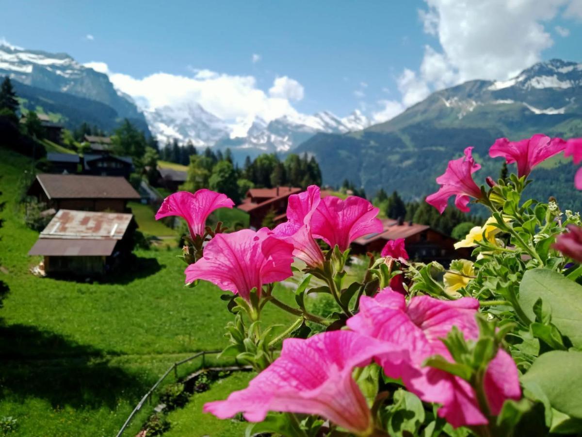 Apartment With Great View At Residence Brunner Wengen Eksteriør billede
